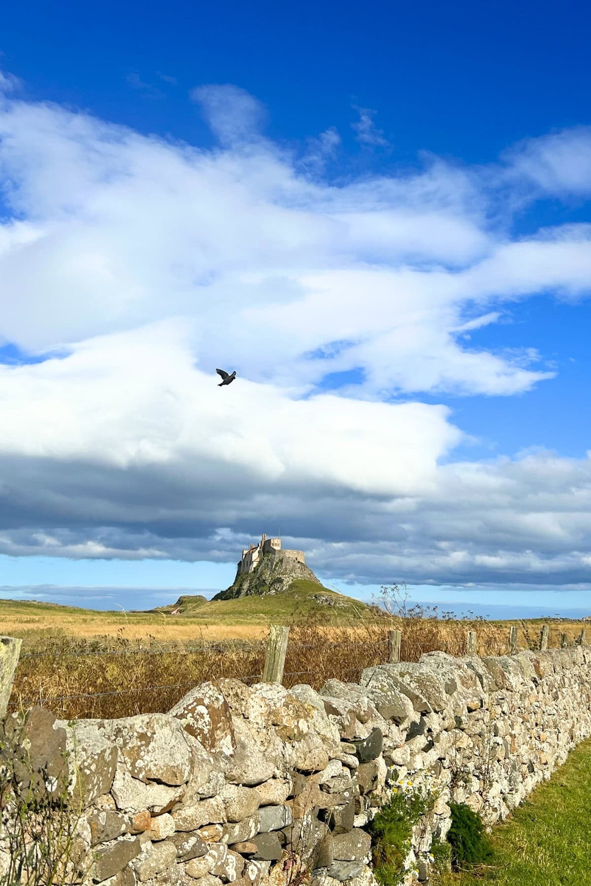 Holy Island Lindisfarne Castle View