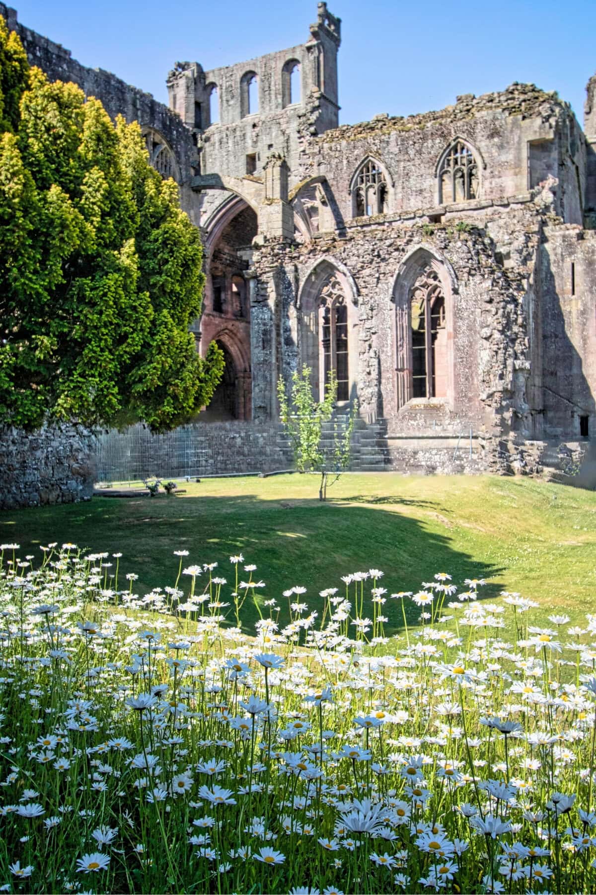 Melrose Abbey Ruins in Scotland