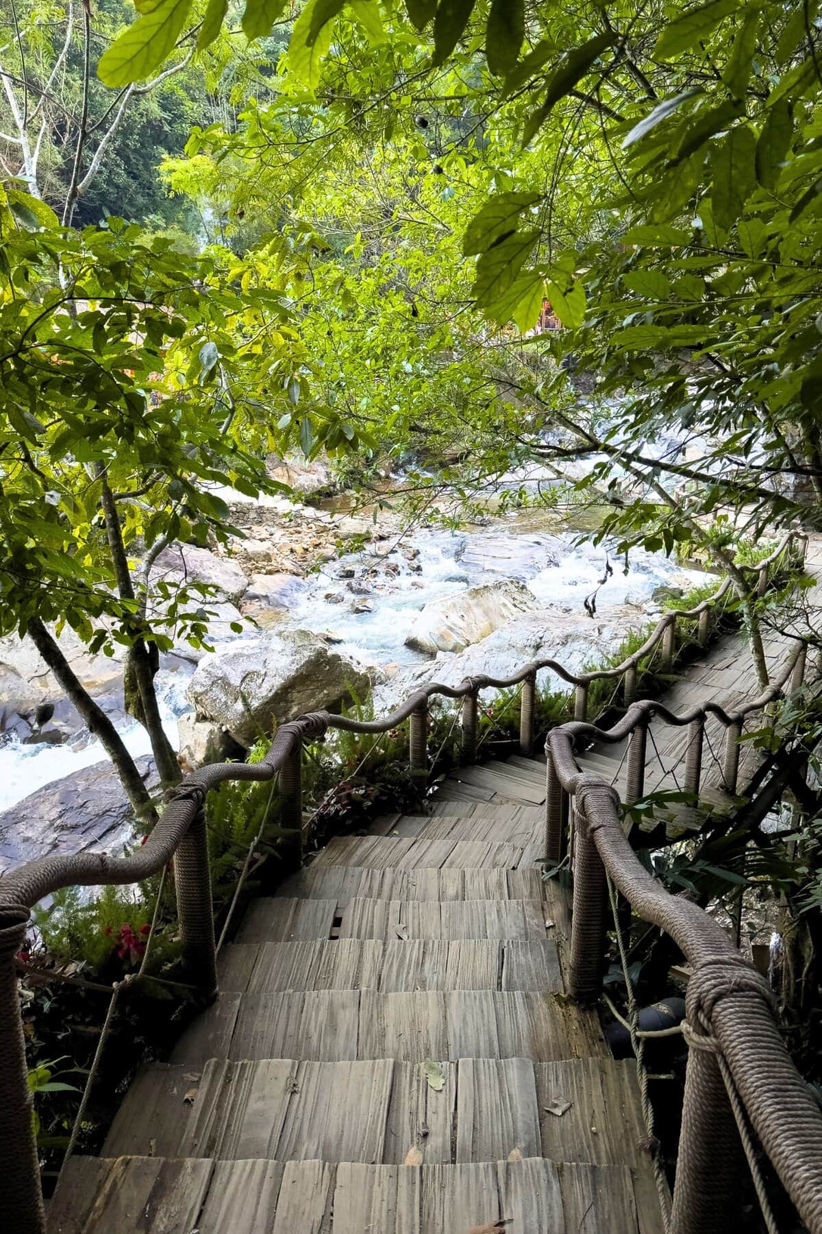 Garden Vietnam
