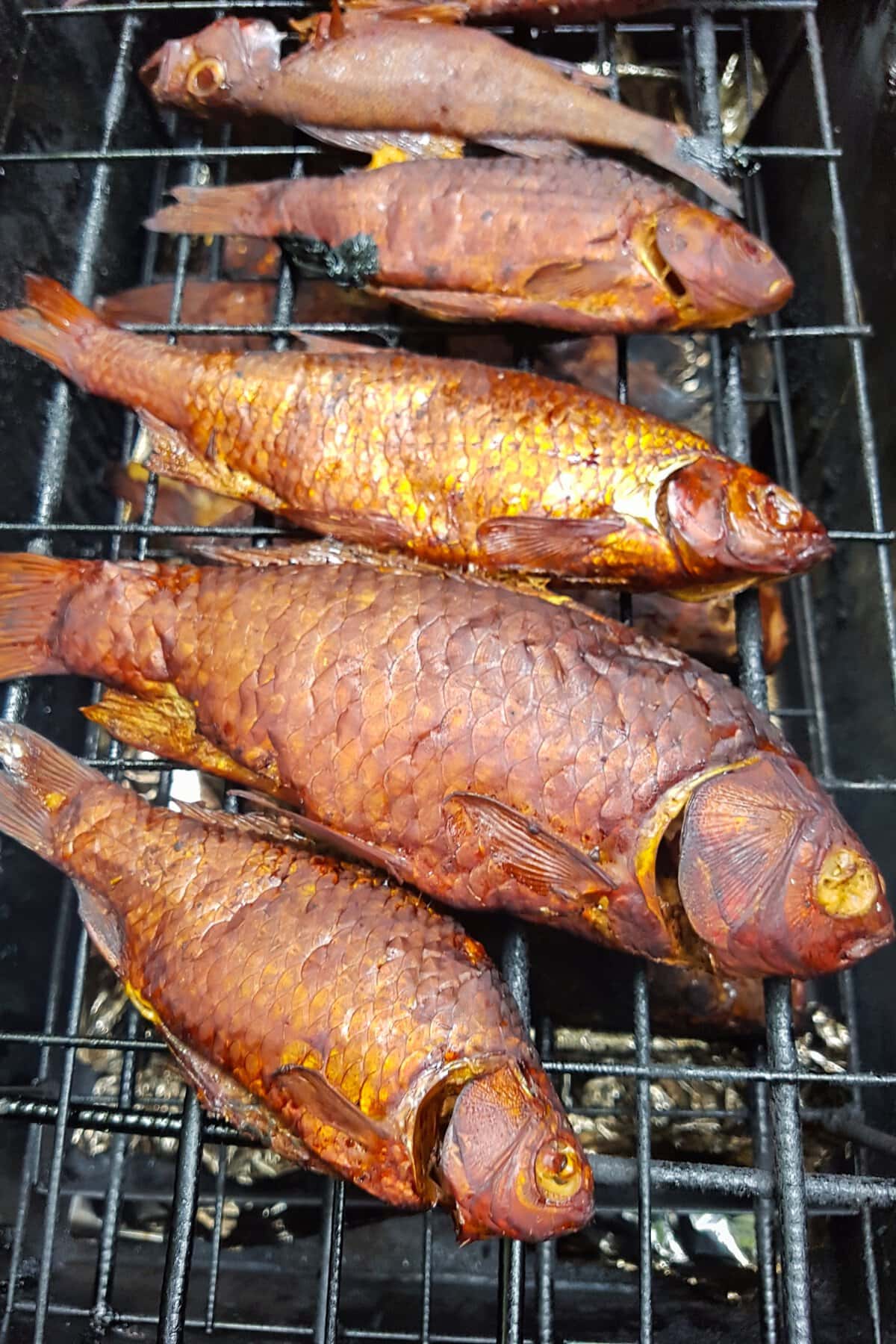Abroath Smokies
