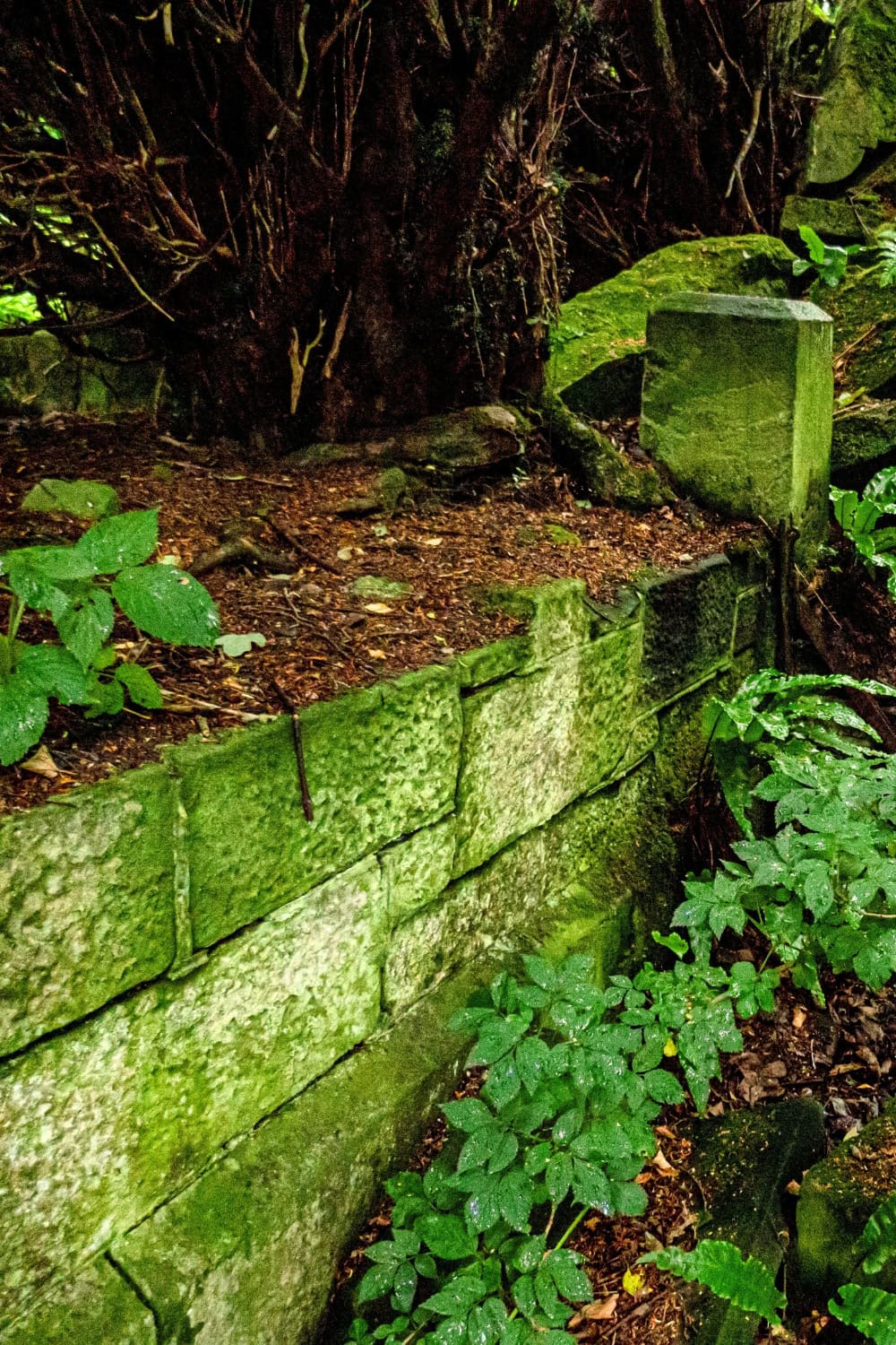 Ruins of Dunmore House